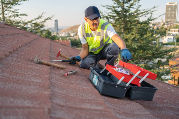 Best Attic Cleanout  in Lantana, TX